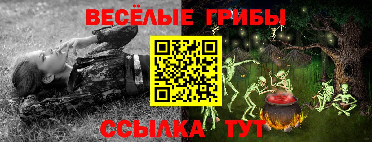 Славгород  КОКАИН  Канабис  Вход с VPN  ГАШ  Героин  NBOMe  Меф кристаллы  Метамфетамин  Alpha PVP СК кристаллы 