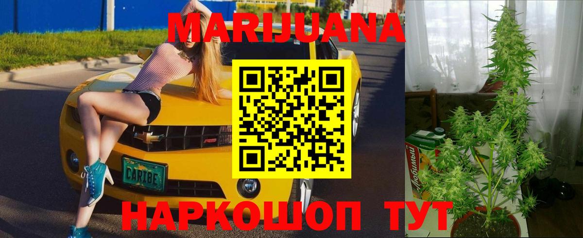 Конопля планчик Славгород